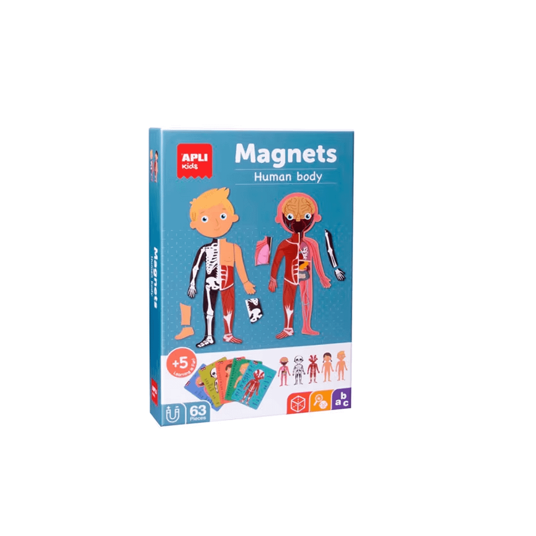 MAGNETS CUERPO HUMANO