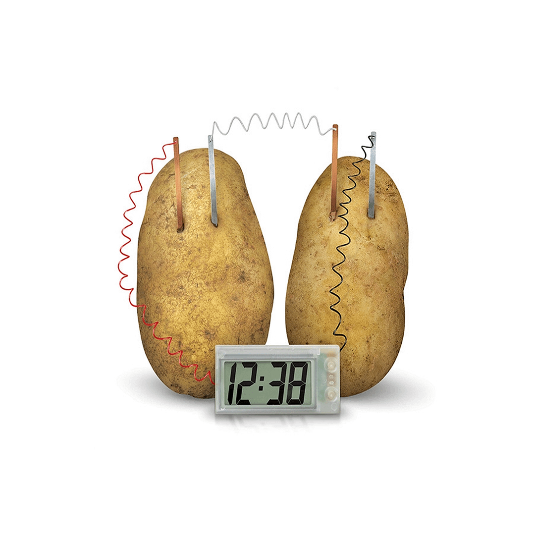 SET GREEN SCIENCE RELOJ PATATA-4M - Imagen 2