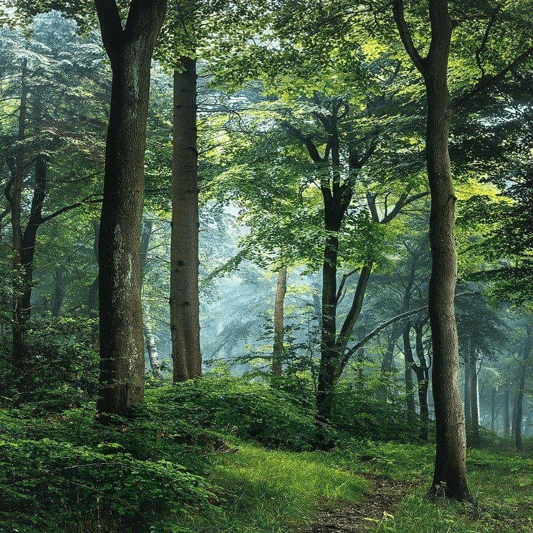 ESCENARIOS DE PAISAJES PARA MINI MUNDOS A4 PAPEL - Imagen 11