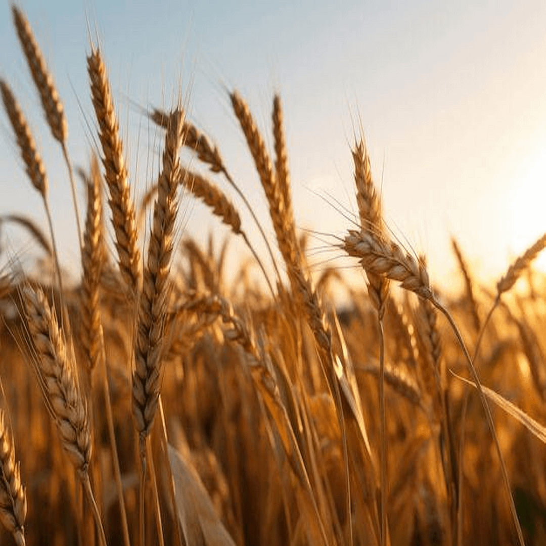 ESCENARIOS DE PAISAJES PARA MINI MUNDOS A4 PAPEL