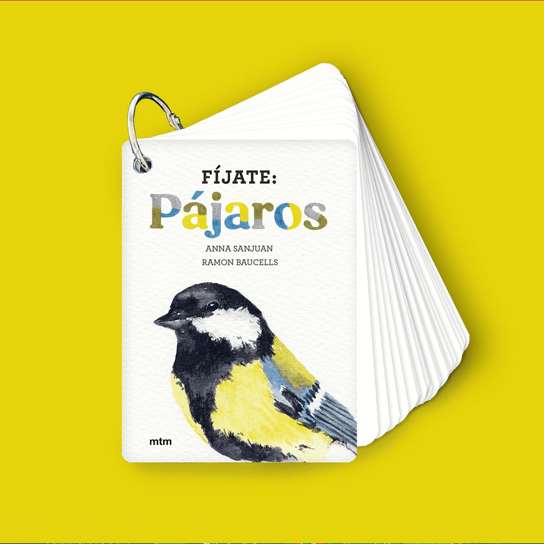 FÍJATE: PÁJAROS-GUÍA PARA INICIARSE EN LA OBSERVACIÓN DE LAS AVES