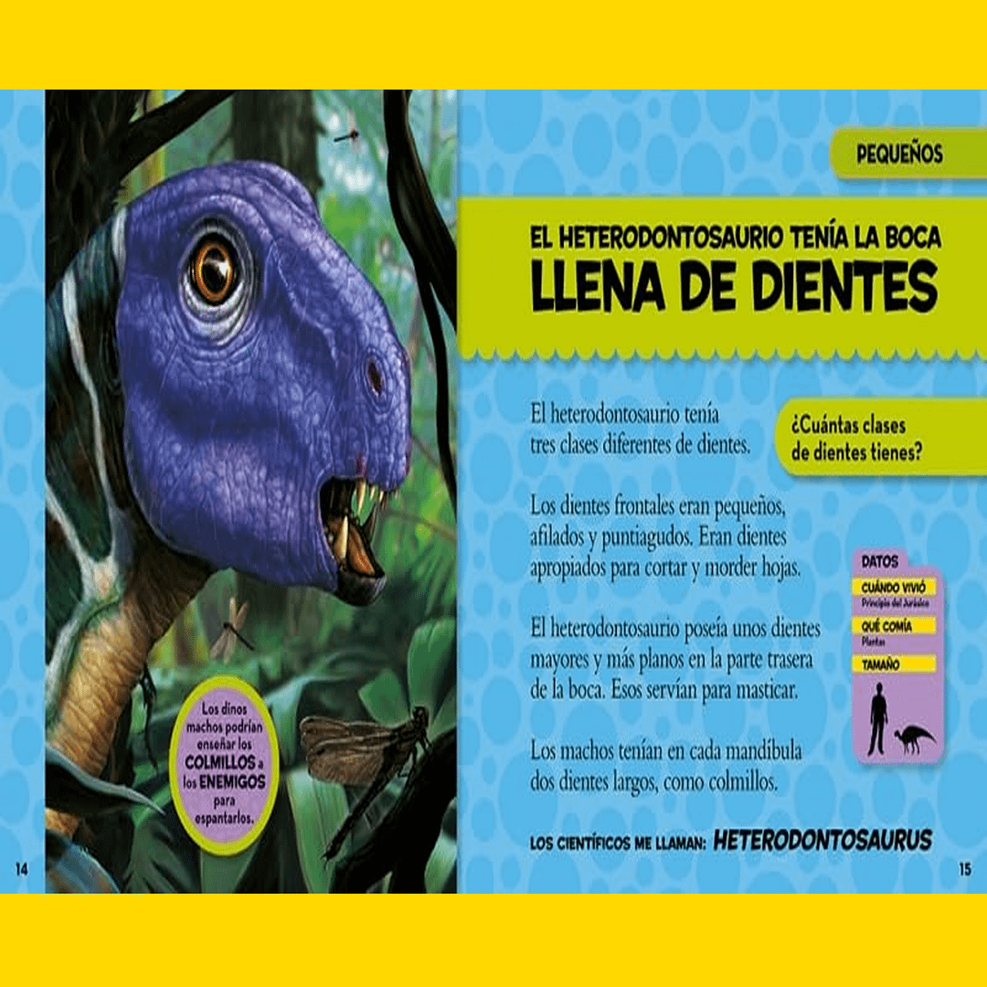 MI PRIMER GRAN LIBRO DE LOS DINOSAURIOS-NATIONAL GEOGRAPHIC - Imagen 3
