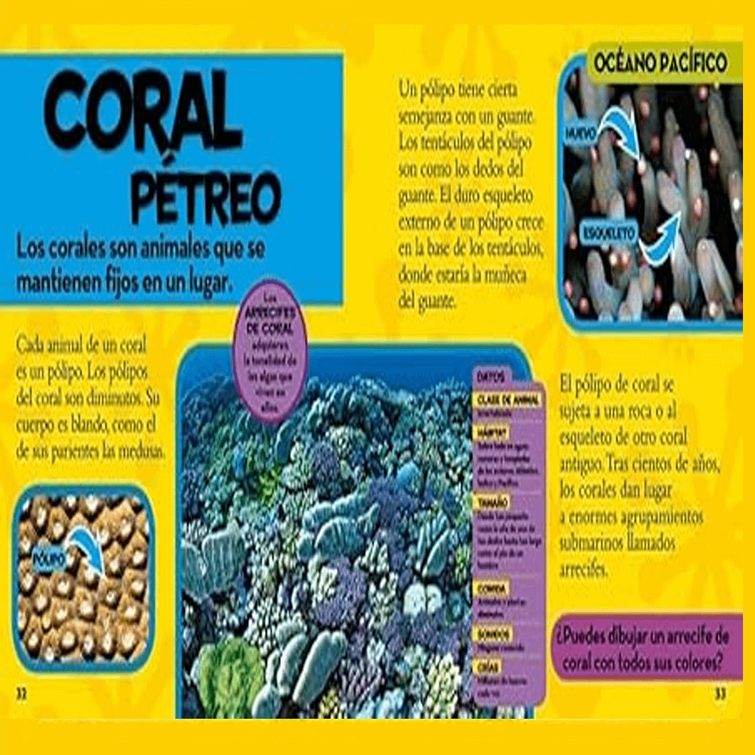 MI PRIMER GRAN LIBRO DEL OCÉANO-NATIONAL GEOGRAPHIC - Imagen 2