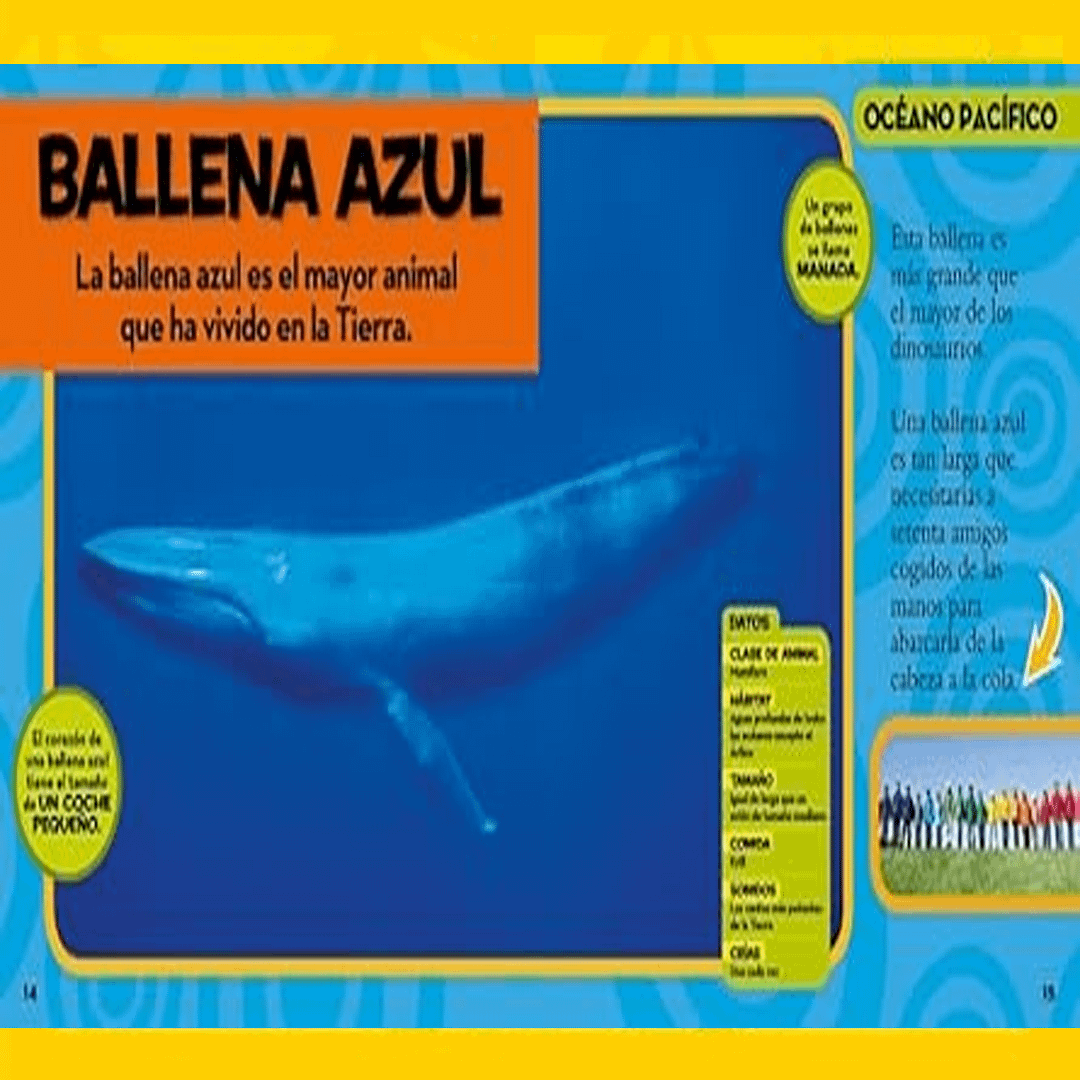 MI PRIMER GRAN LIBRO DEL OCÉANO-NATIONAL GEOGRAPHIC - Imagen 3
