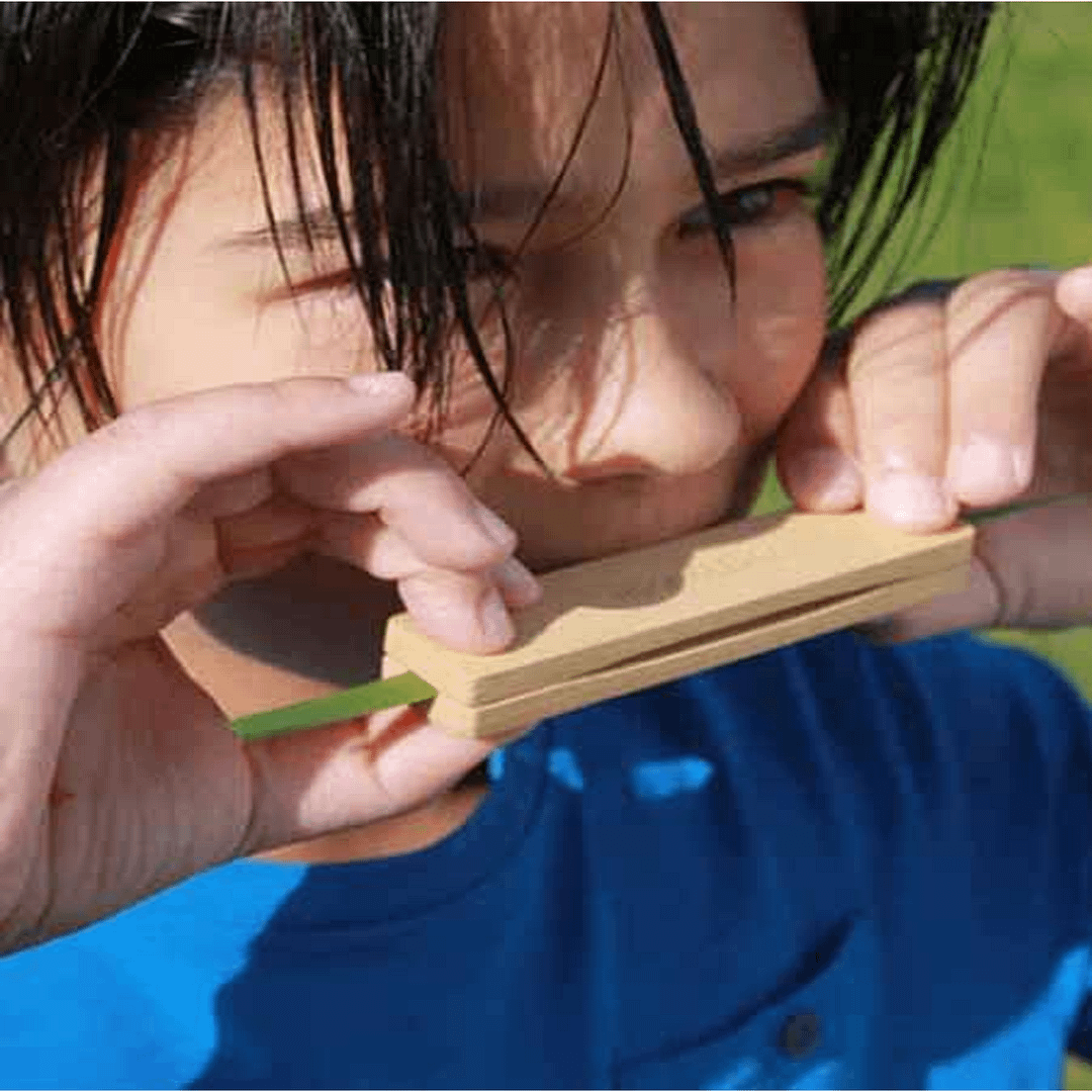 SILBATO DE HIERBA - Imagen 2