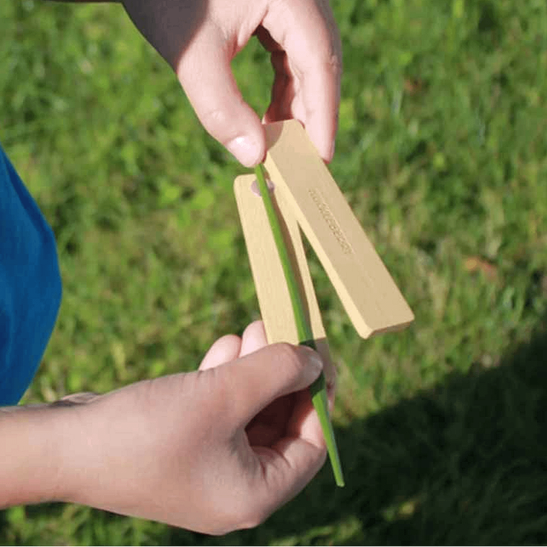 SILBATO DE HIERBA - Imagen 3