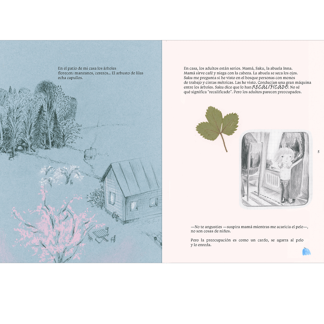 DIARIO DEL BOSQUE - Imagen 2