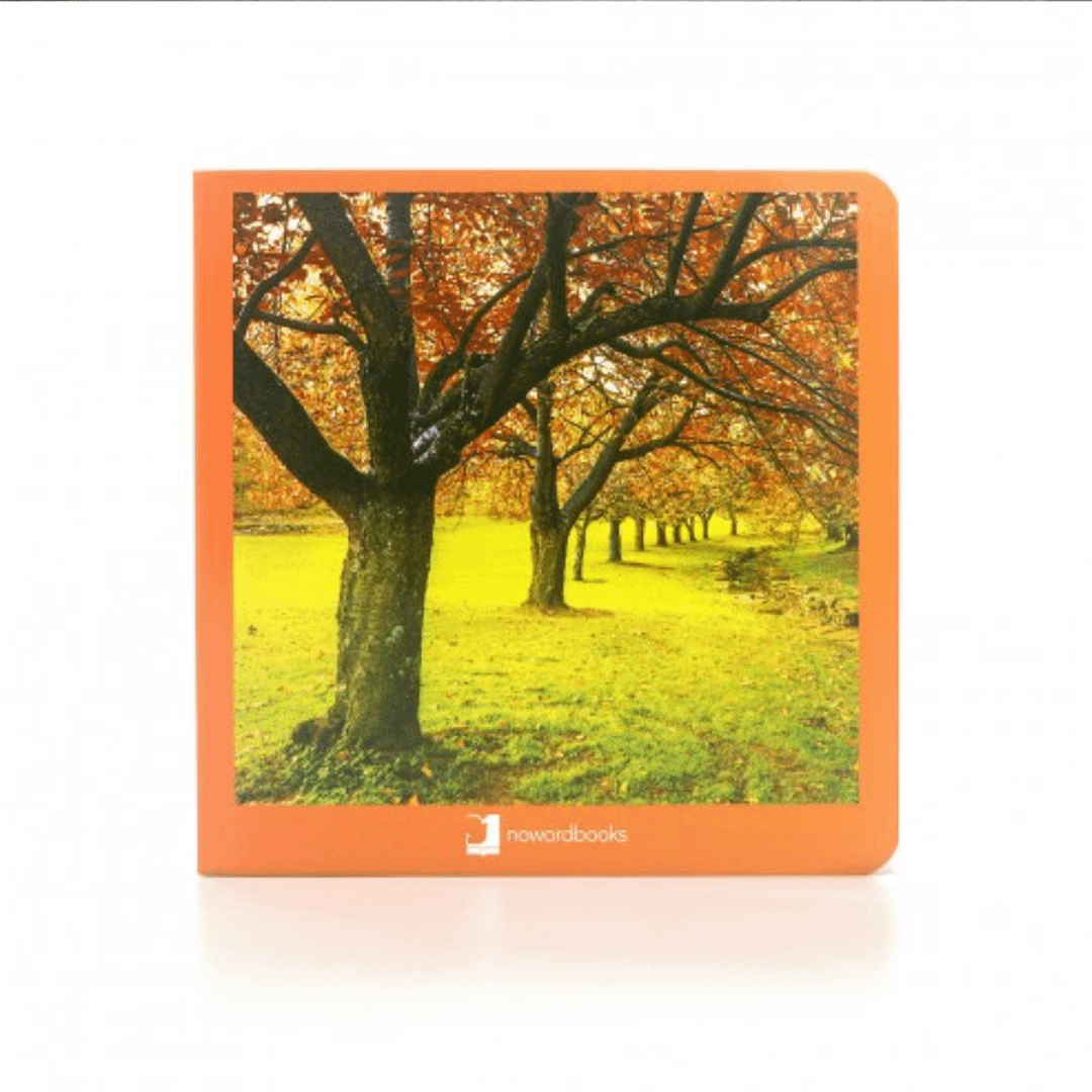 OTOÑO LIBRO DE IMÁGENES NOWORDBOOKS