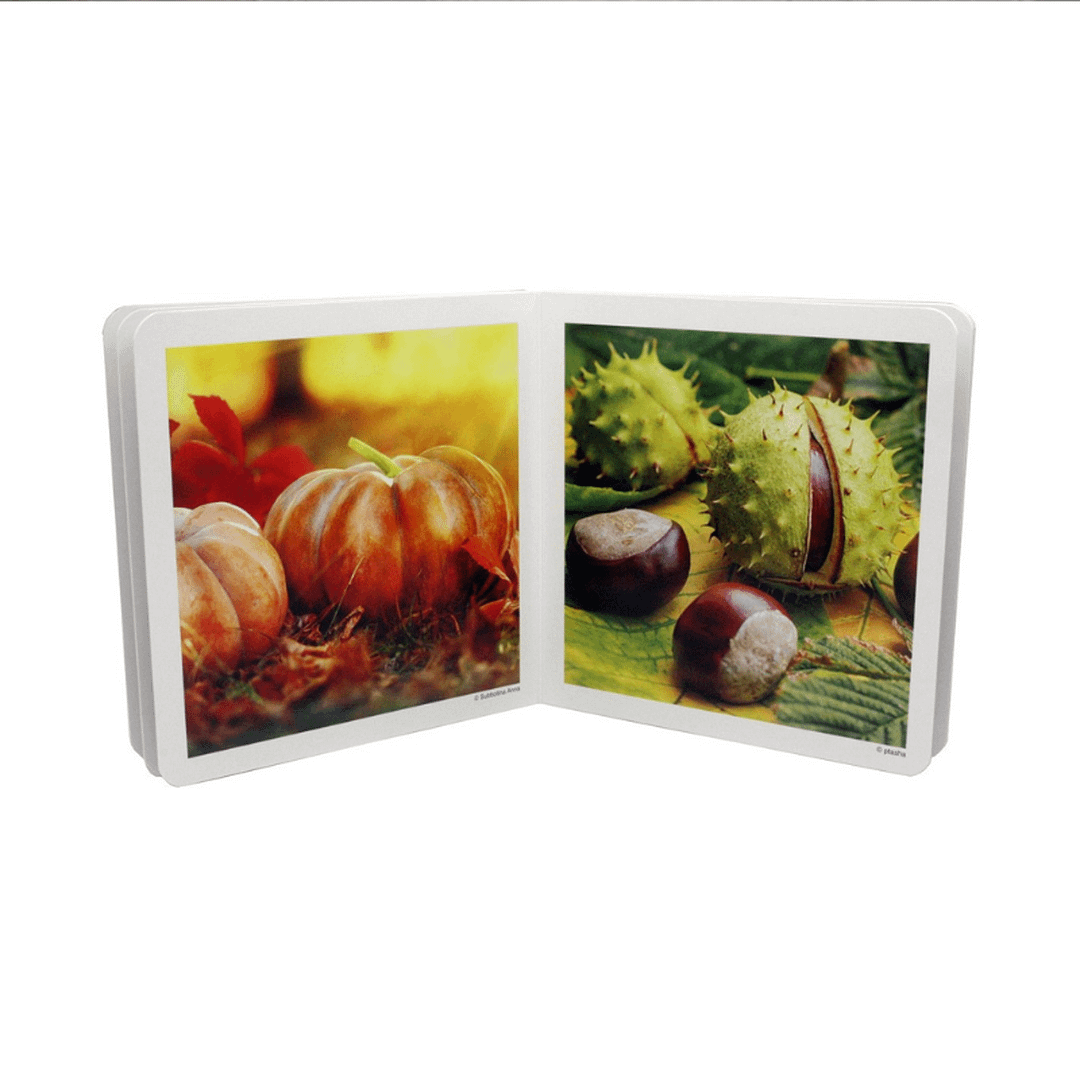 OTOÑO LIBRO DE IMÁGENES NOWORDBOOKS - Imagen 2