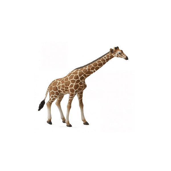 FIGURA JIRAFA-DEQUBE