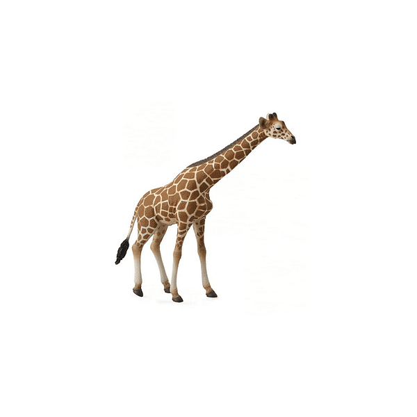 FIGURA JIRAFA-DEQUBE