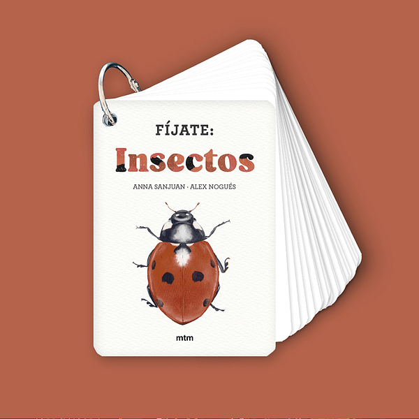FÍJATE: INSECTOS-GUÍA PARA INICIARSE EN LA OBSERVACIÓN DE LOS INSECTOS