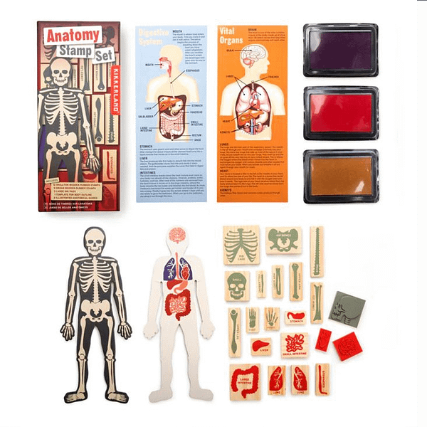 PLANTILLA CUERPO HUMANO Y SELLOS ÓRGANOS Y HUESOS