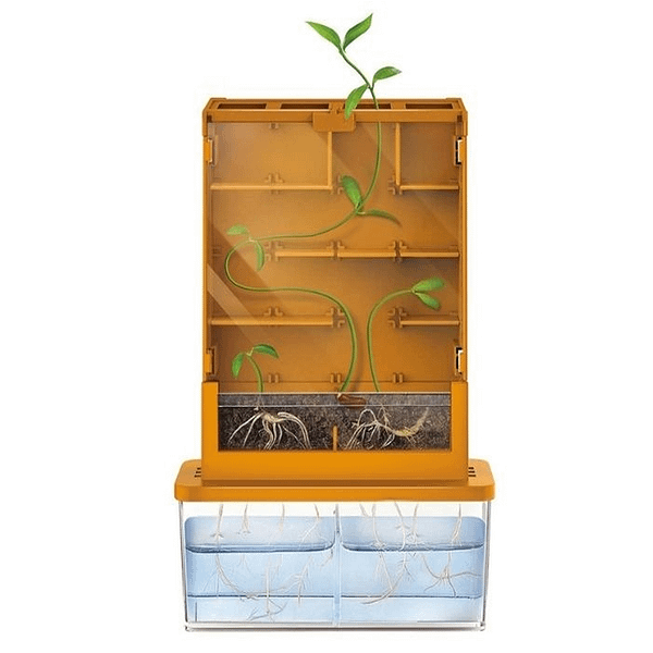 LABERINTO DE CULTIVO GREEN SCIENCE GROW A MAZE-4M